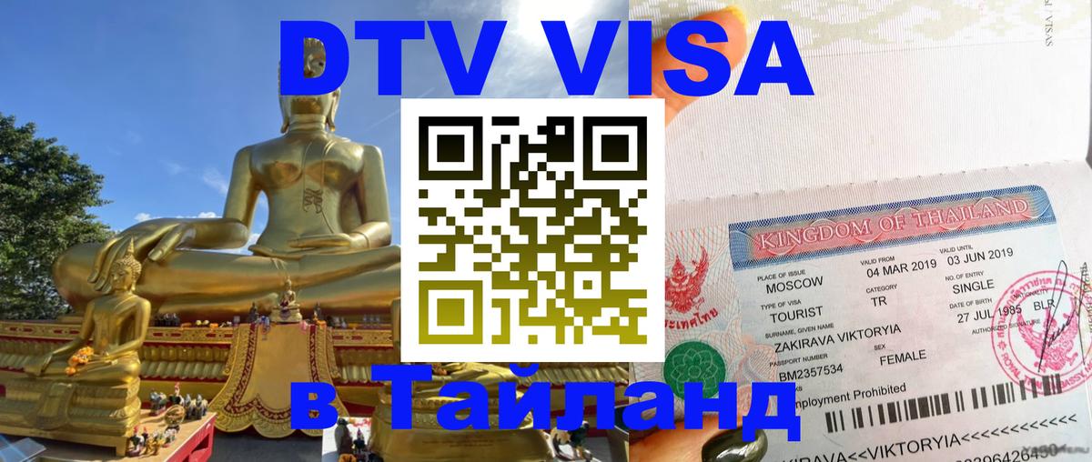 Сколько стоит DTV виза — актуальные цены, оформление даже без документов - 19.11.2025 